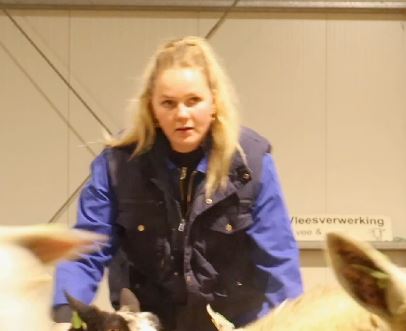Roos Roos